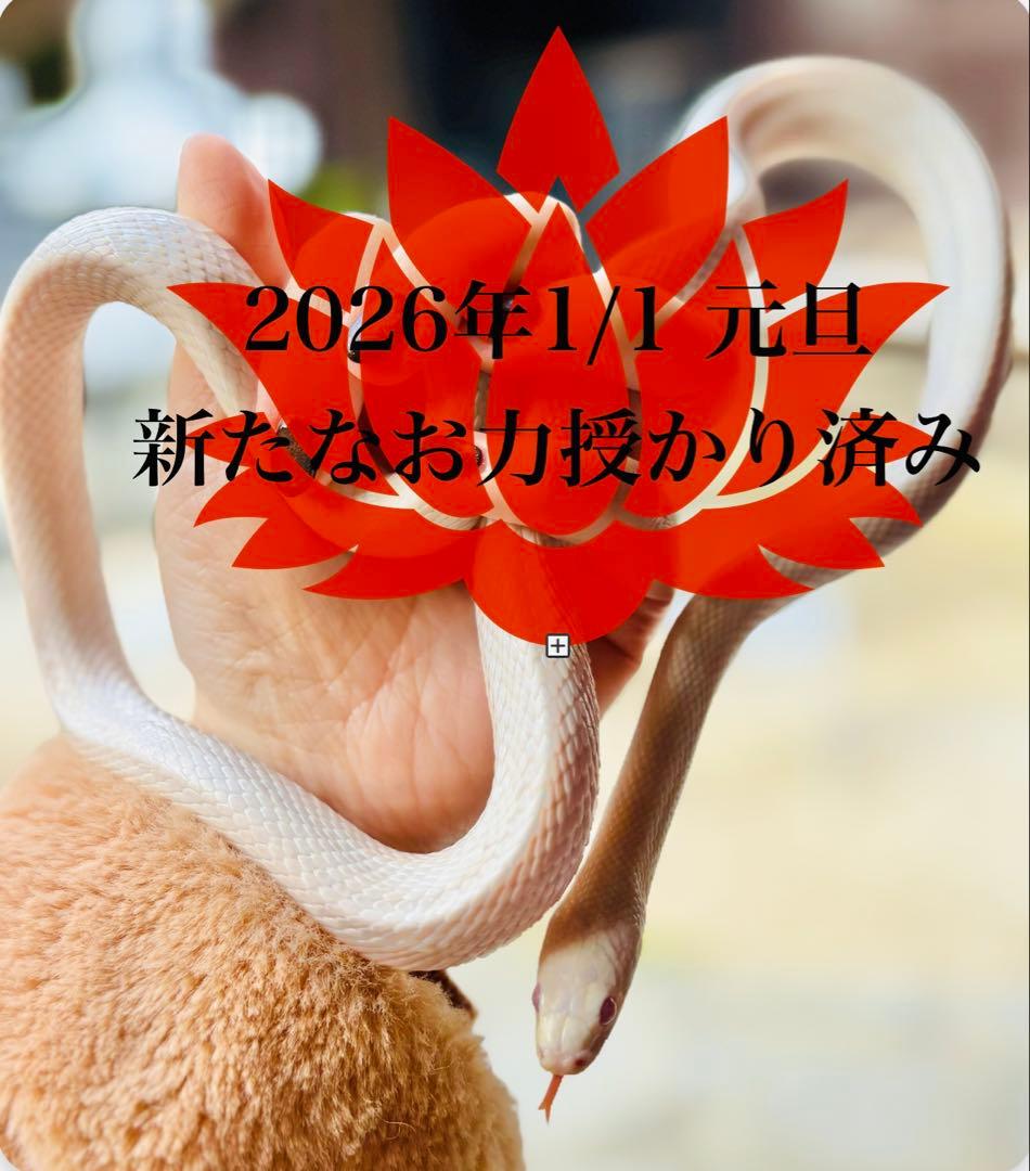 感謝価格♥自己肯定感内面美を引き出し魅力up心身のバランスを整えピンクアメジスト