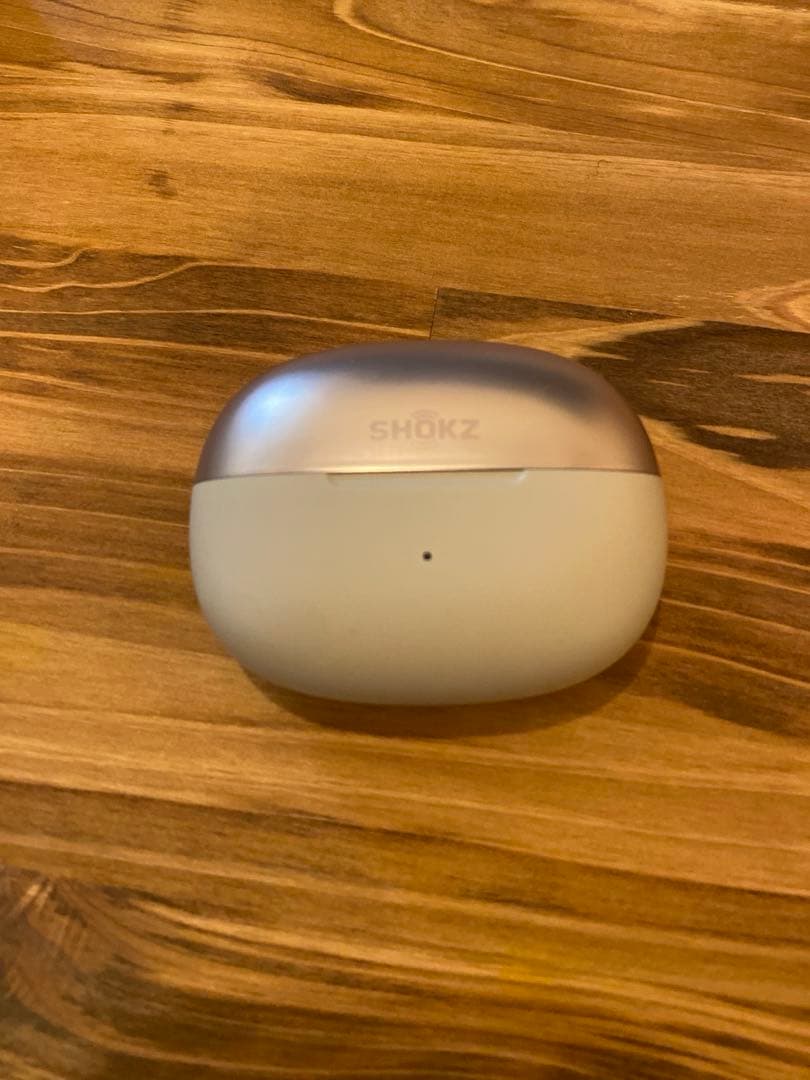 【ほぼ未使用】Shokz OpenDots ONE ケースのみ　グレー シルバー