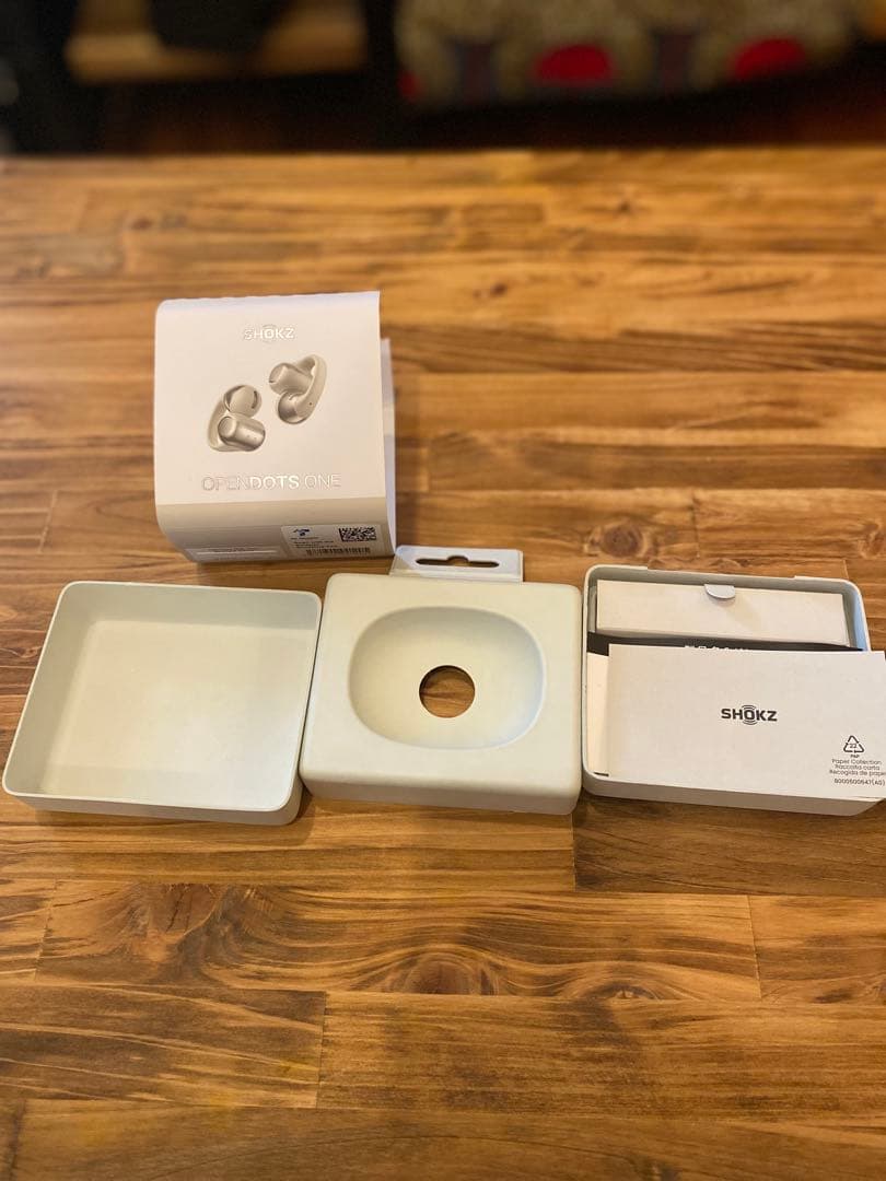【ほぼ未使用】Shokz OpenDots ONE ケースのみ　グレー シルバー