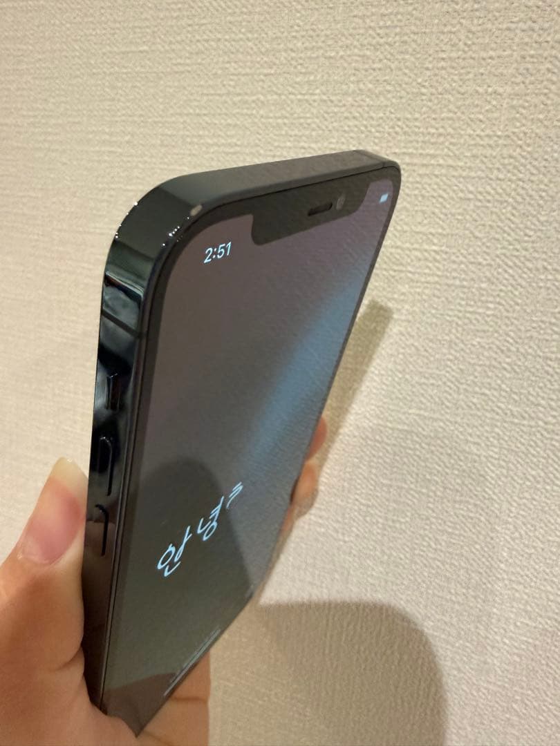 Apple iPhone 12 Pro パシフィックブルー（docomo）