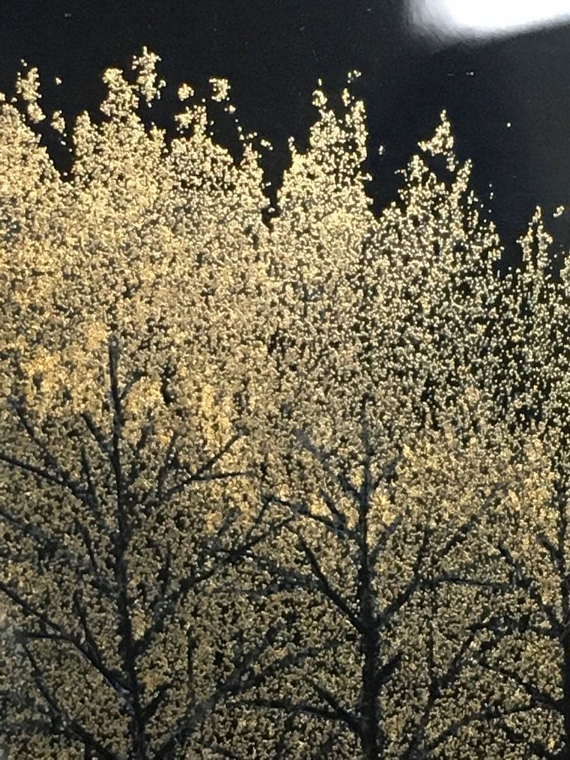 S191輪島塗 漆藝額 陽光 孝一作