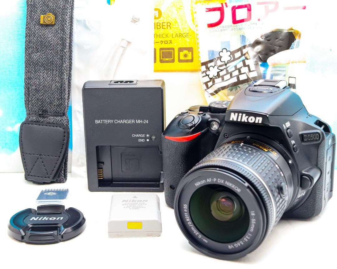 ニコン Nikon D5500⭐️スマホ転送機能付⭐️超高画質2416万画素