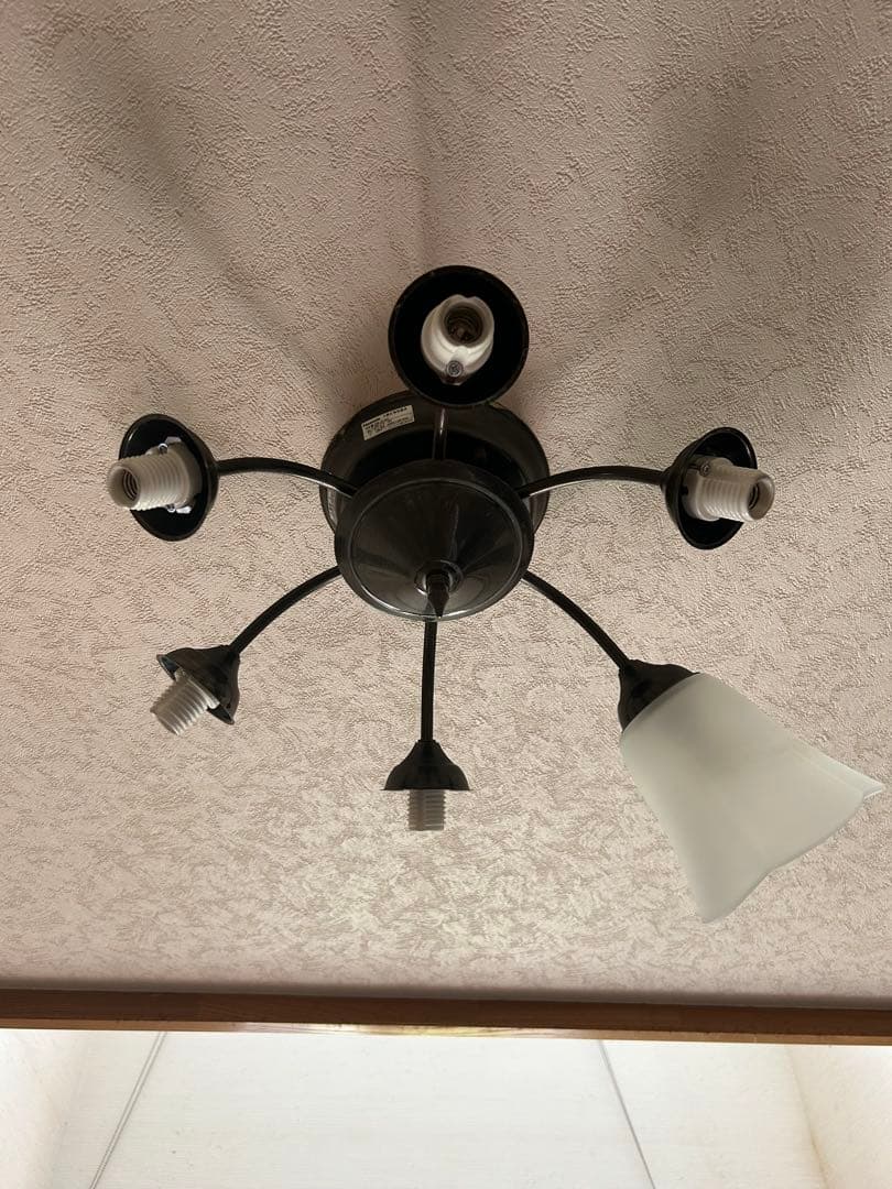 フラワー型シャンデリア 6灯 ホワイト