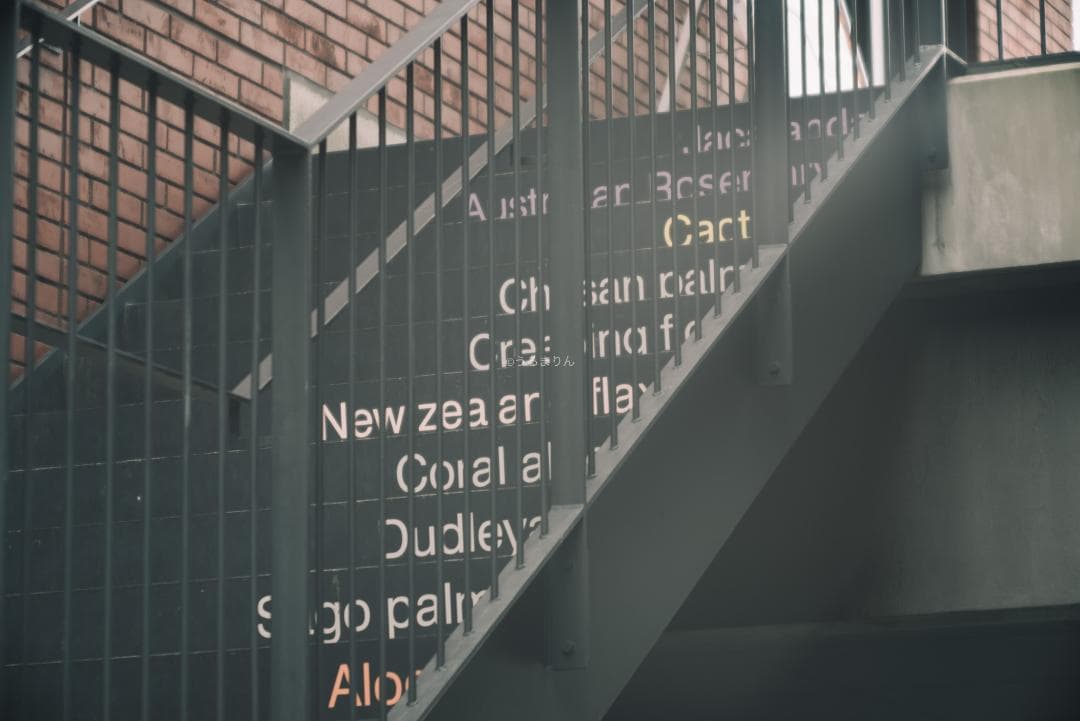 棚卸SALE！Leica Elmar 135mm F4.5 オールドレンズ