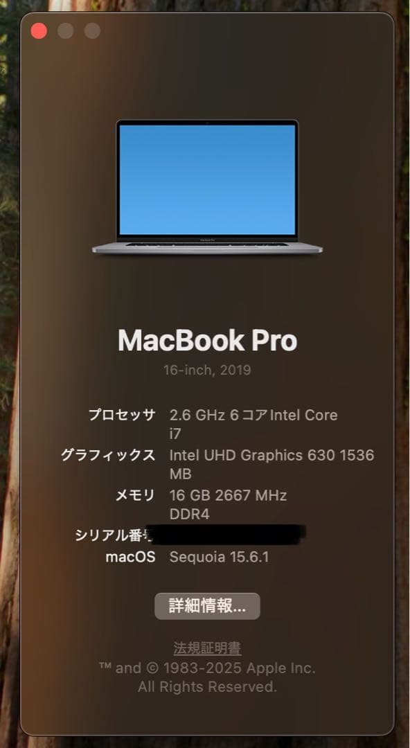 MacBook Pro 16インチ2019 Core i7 16GB 1TB