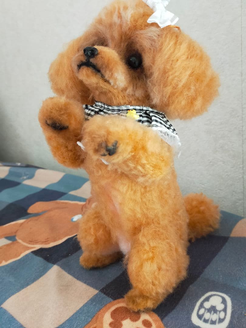 シュリママ♡トイプードルちゃんちょうだいポーズ。直立。おまけ付き♡