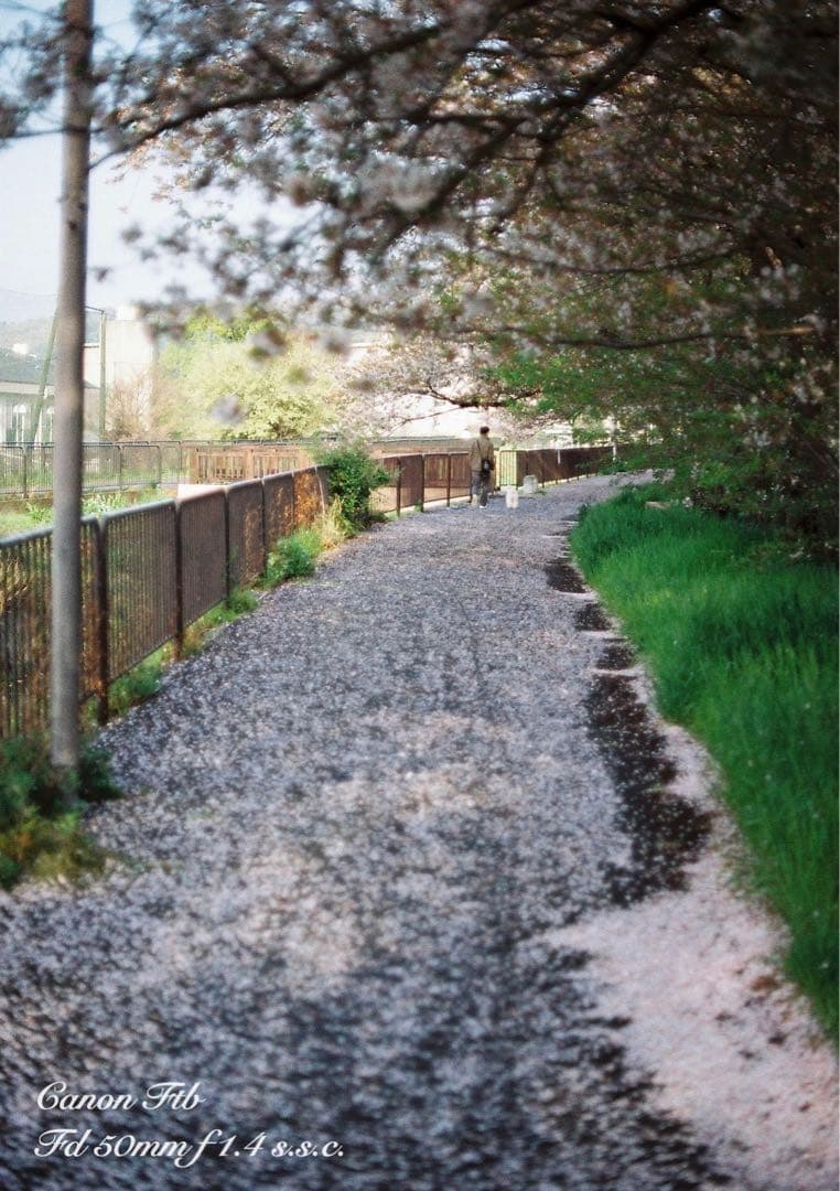 ★Canon FTb ブラック★FD f1.4★完動品＊美品＊初期保証＊作例多数