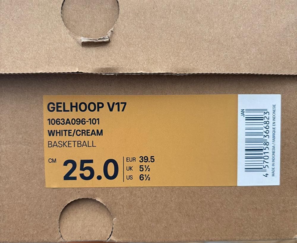 ASICS バスケットボールシューズ GELHOOP V17