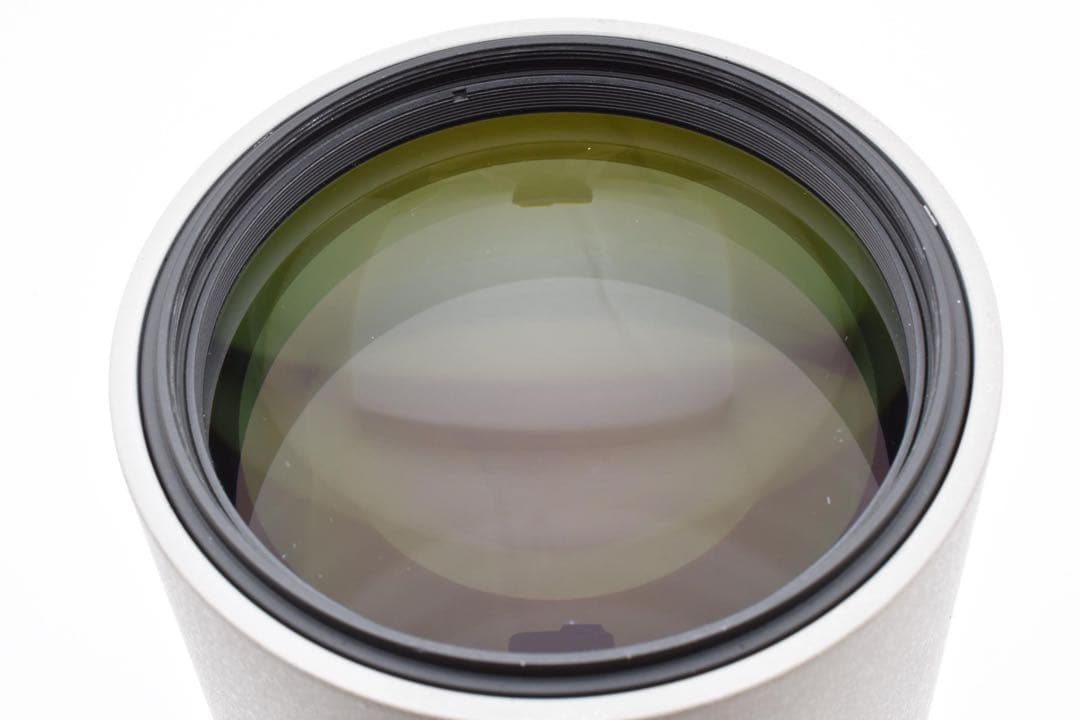 ニコン Nikon AF-S NIKKOR 300mm F4D ED