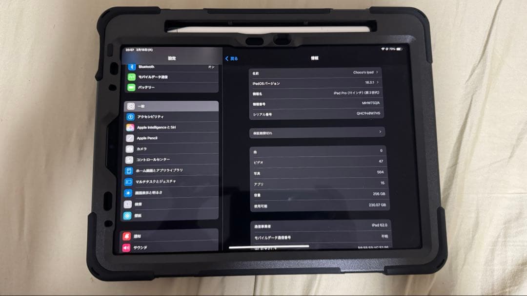 iPad Pro 11第三世代 256GB + アップルペンシル