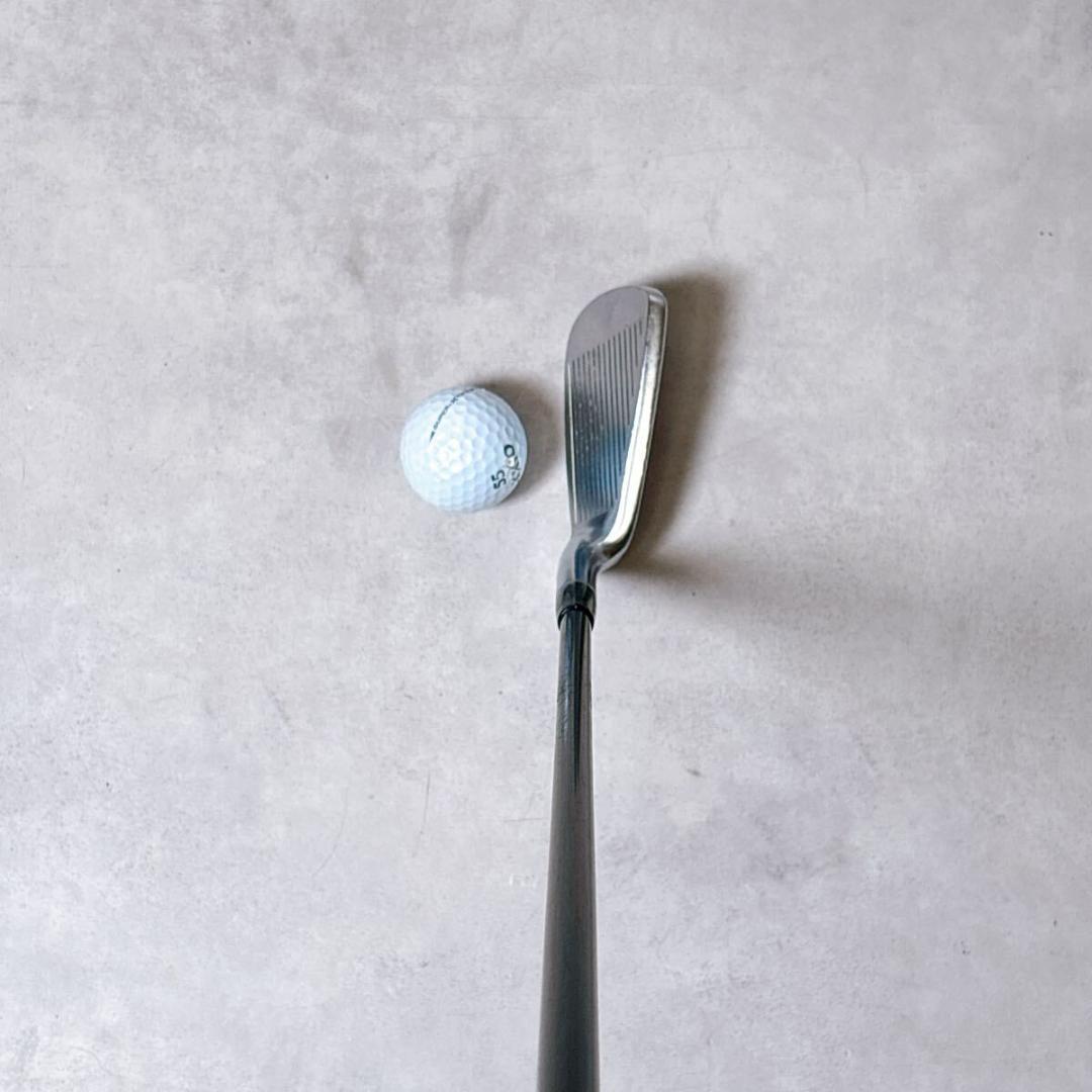 名器 プロギア DATA811 アイアンセット 右打ち 10本 メンズ 三浦技研