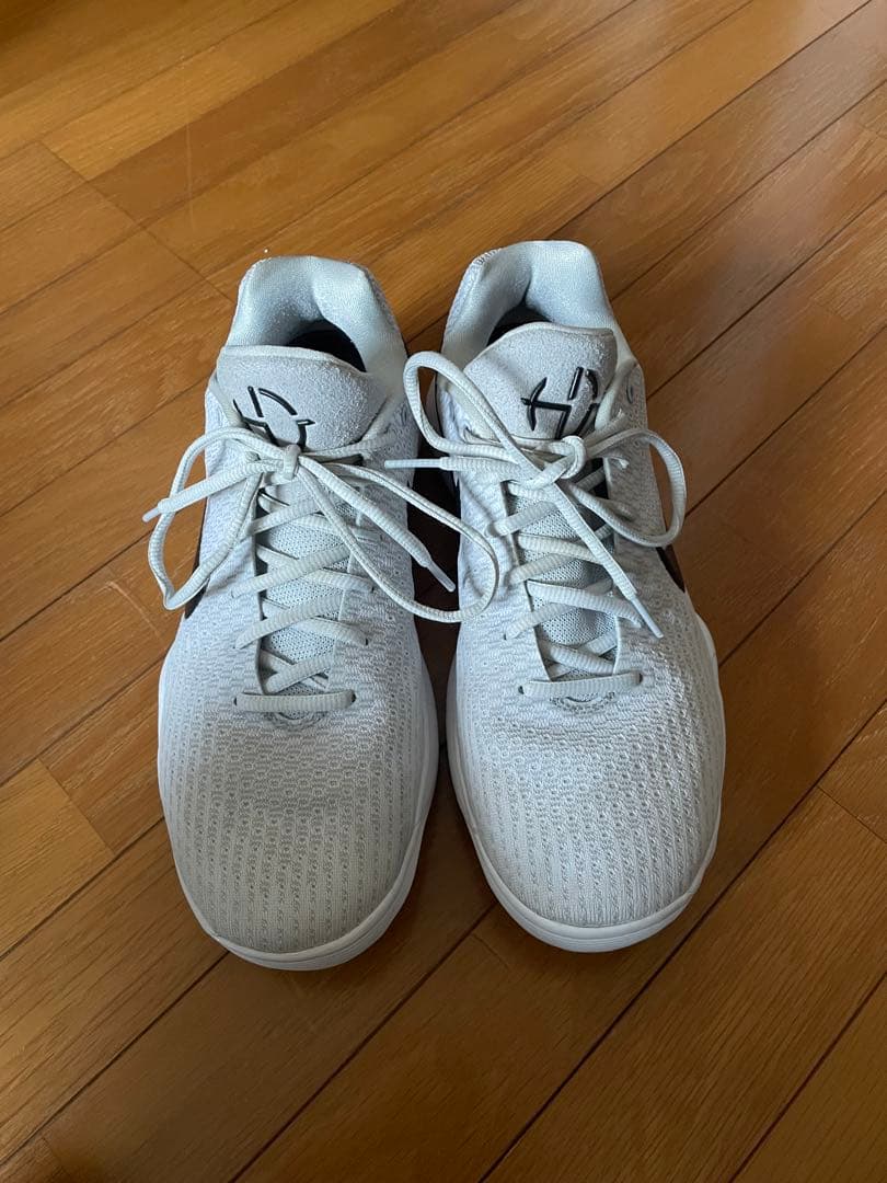 シューズ(男性用) Nike Hyperdunk 2017 Low Wolf Grey