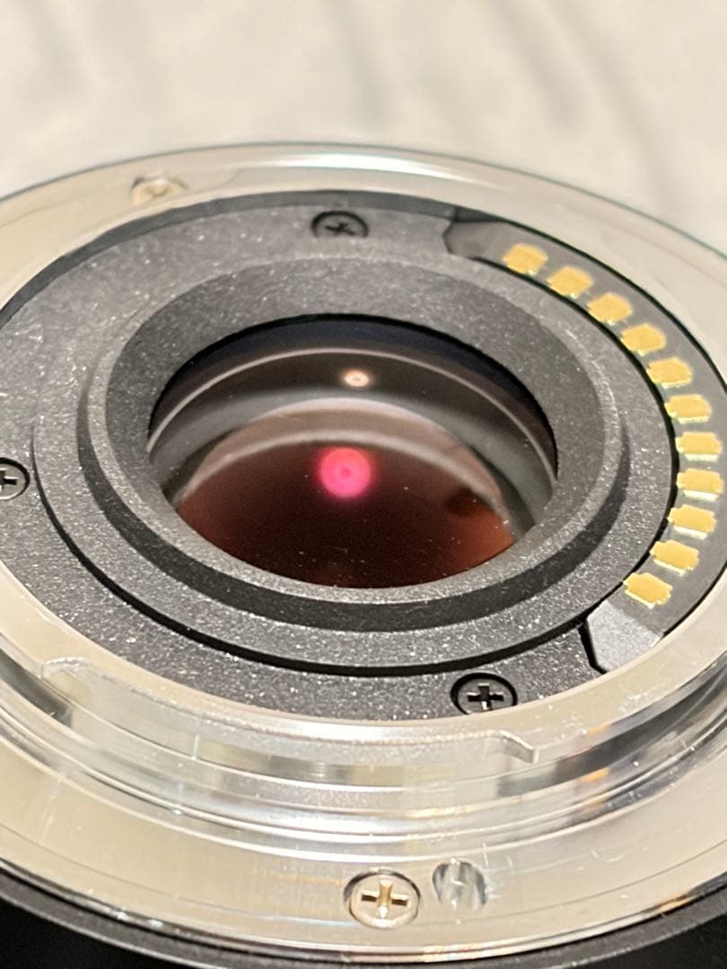 パナソニック DG MACRO ELMARIT 45mm F2.8