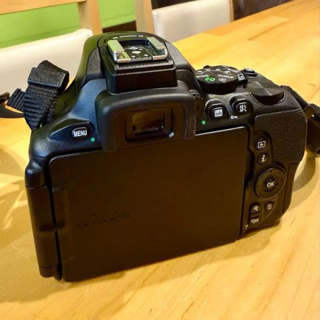 【ショット数 866枚】Nikon D5600 18-55 VR レンズキット