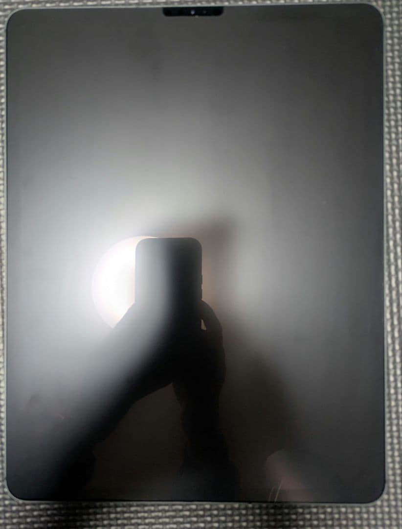 美品　 iPad pro12.9インチ 本体のみ 第4世代　128GB