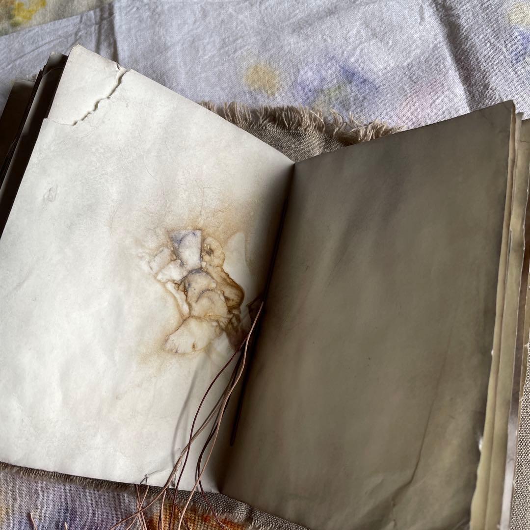 7月20日　ぱおら様2冊　「花ゲリラの本」　 「襤褸の本13〜路地裏の本2〜」