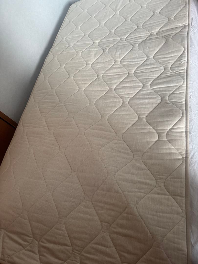 丸八真綿　ファートン　ムートン