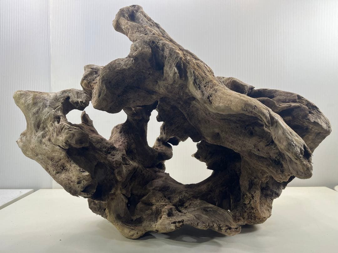 W30大型流木アク抜き済み流木 爬虫類シェルター 登り木 インテリア 生け花