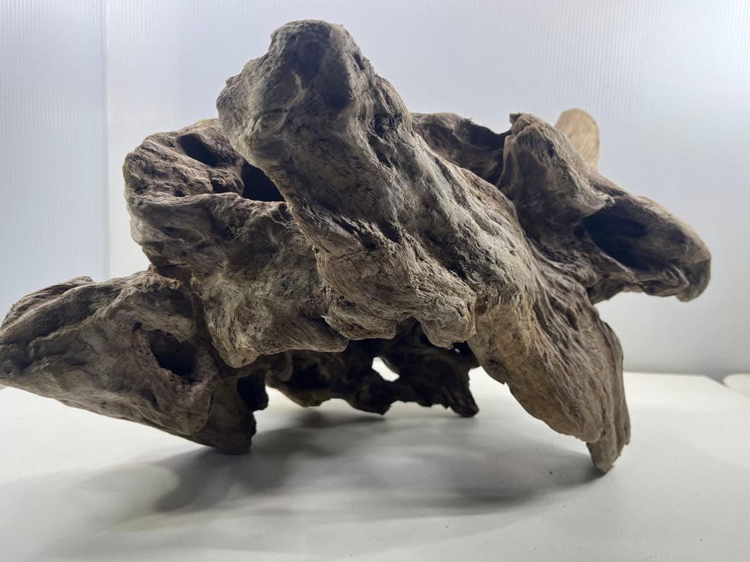 W30大型流木アク抜き済み流木 爬虫類シェルター 登り木 インテリア 生け花