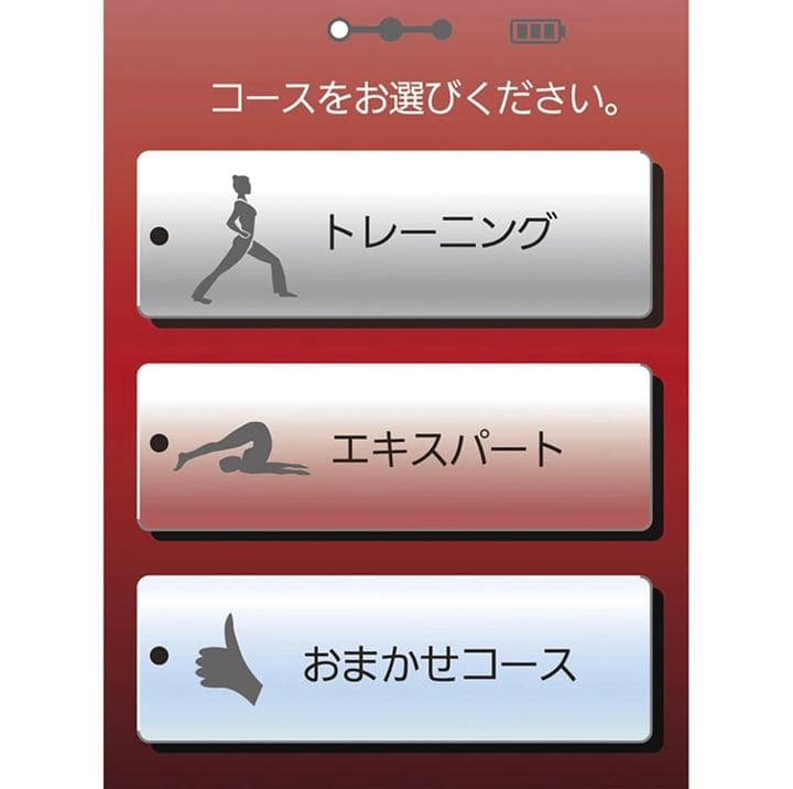 家庭用EMS機器スタイリフト（ボディ専用）【日本製】