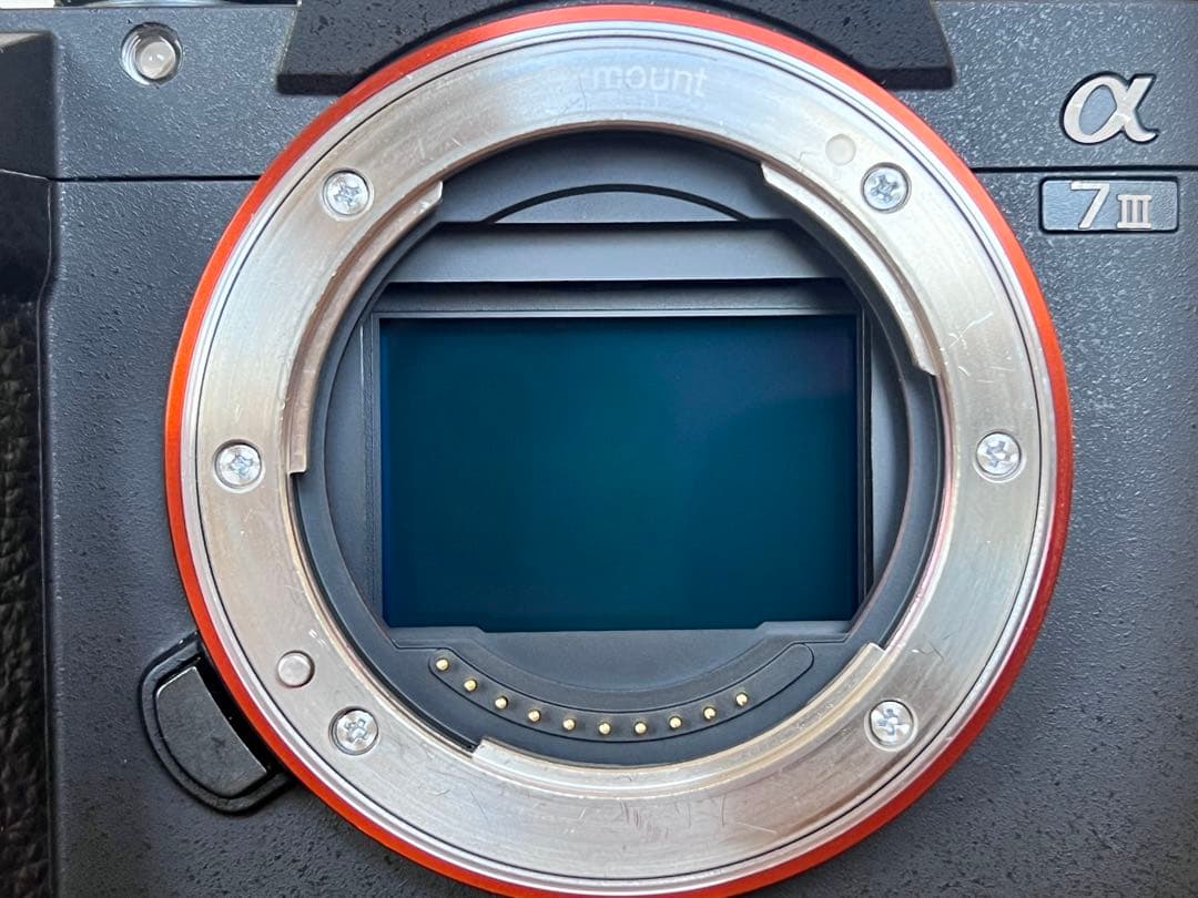 【シャッター数4157回】Sony α7 III 24-105mm & 20mm