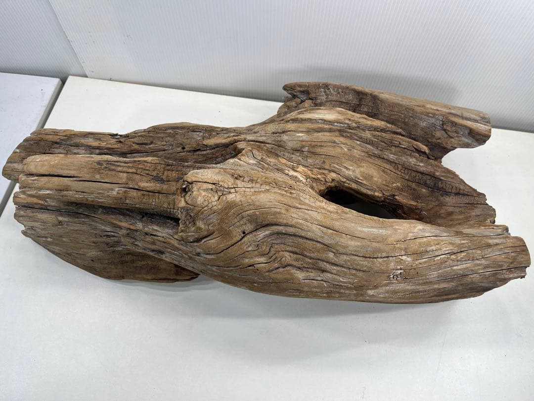 W28特大流木アク抜き済み流木 爬虫類シェルター 登り木 インテリア 生け花