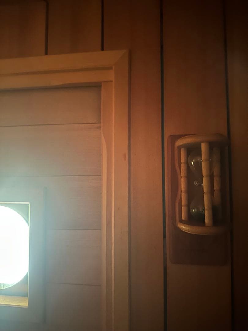 サニーペットサウナSP-3D 1.5人用 組立式　【引き取り限定】