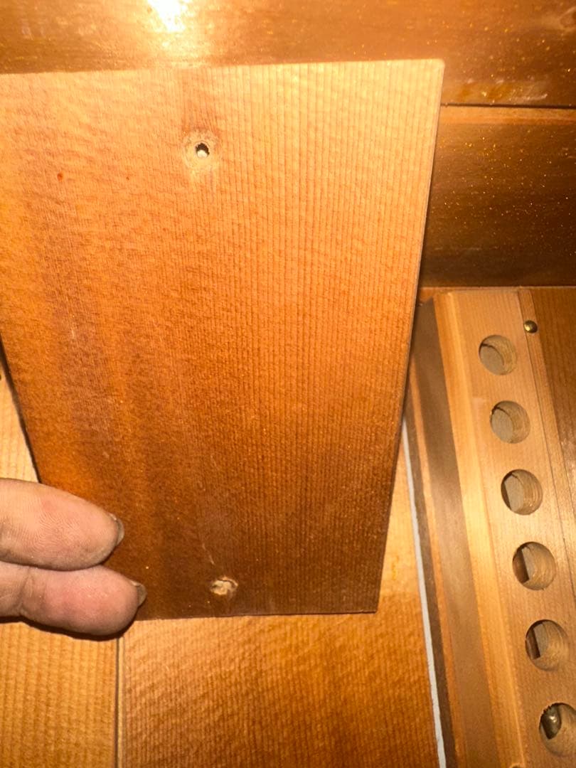 サニーペットサウナSP-3D 1.5人用 組立式　【引き取り限定】