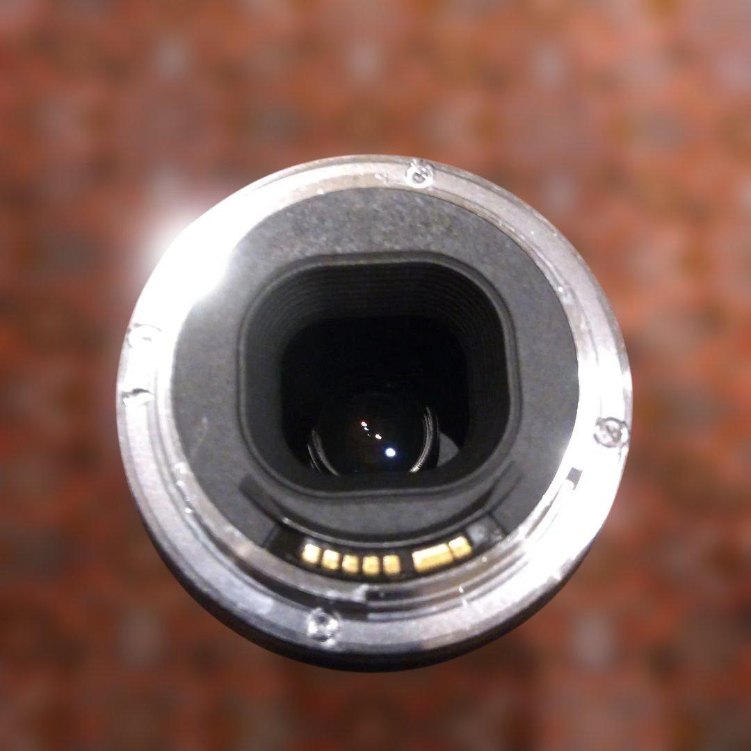 Canon 100-300mm ウルトラソニック ズームレンズ