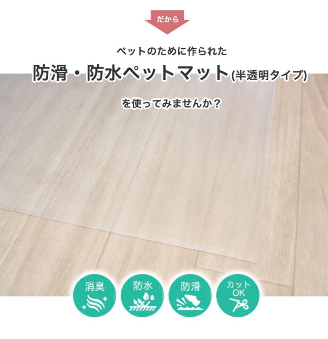 パイナ