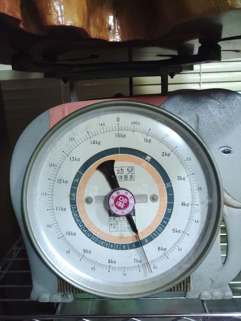 無垢木材　花台　大迫力切り株　かわいい木製オブジェ　木の温もり　年輪　精霊宿る