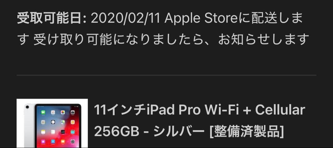iPad Pro 第一世代 256GB Wi-Fi+Cellular シルバー