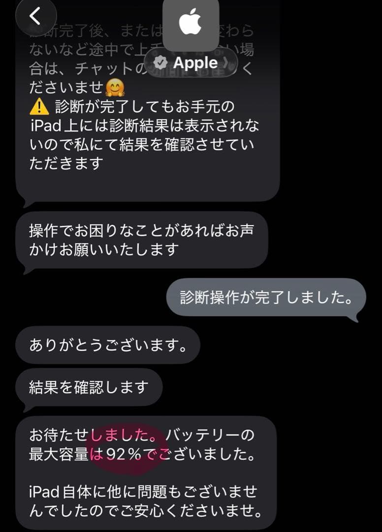 iPad Pro 第一世代 256GB Wi-Fi+Cellular シルバー