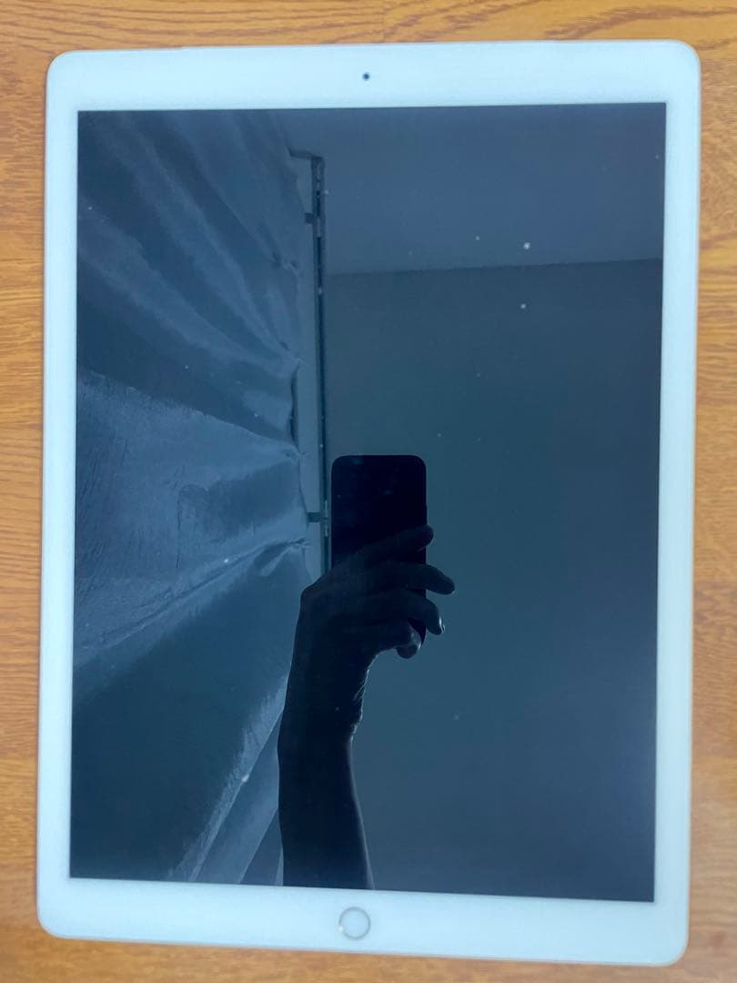 【ジャンク】 iPad Pro 12.9 インチ WiFi + Cellular