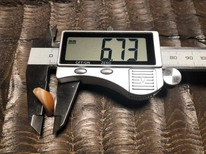 古代カーネリアン　アイビーズ　紀元前