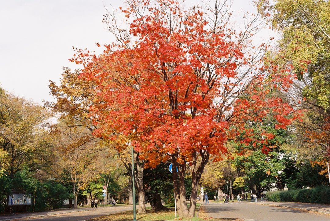 オリンパスOM-1 フィルムカメラ　付属品付き