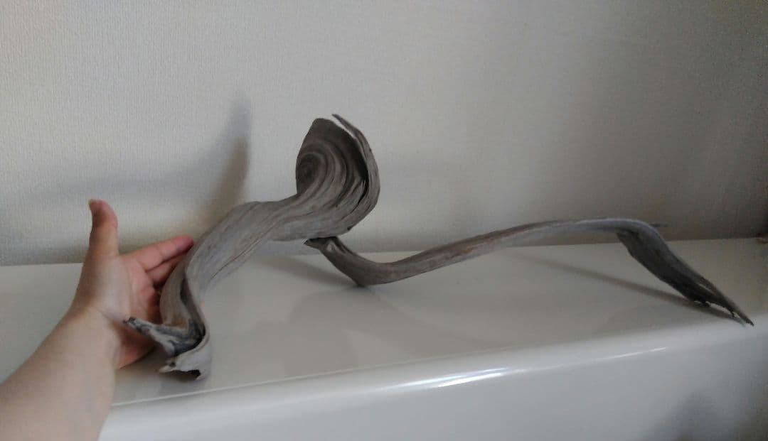 ★大幅値下げしました★真柏の枯れ木(カレボク) 盆栽の枯れ木④　神