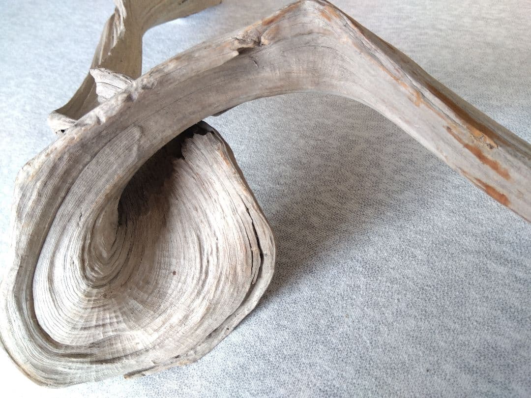 ★大幅値下げしました★真柏の枯れ木(カレボク) 盆栽の枯れ木④　神