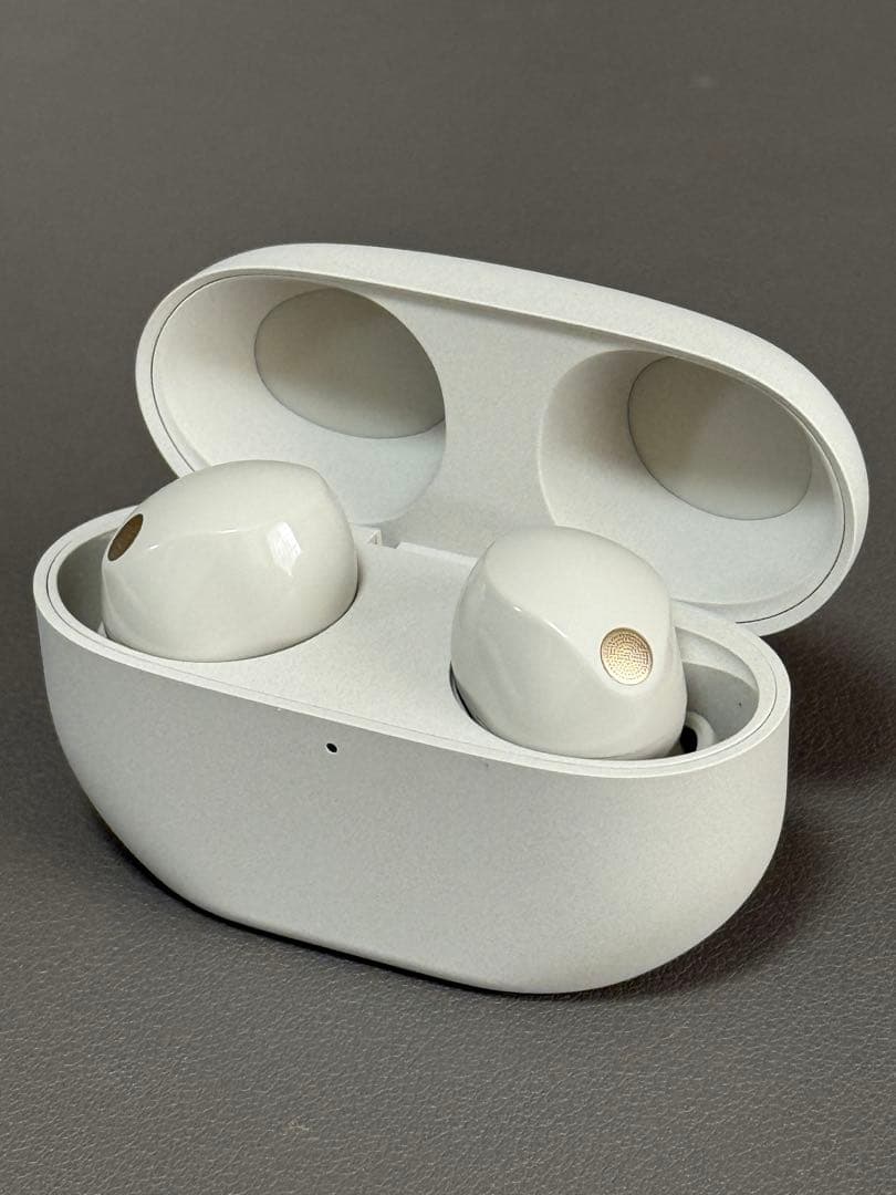 SONY WF-1000XM5 SONY ワイヤレスイヤホン