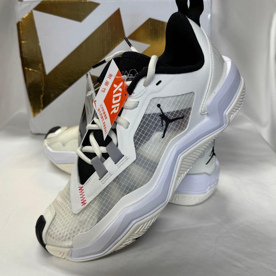 JORDAN ONE TAKE 4 PF ジョーダン ワンテイク4【255】