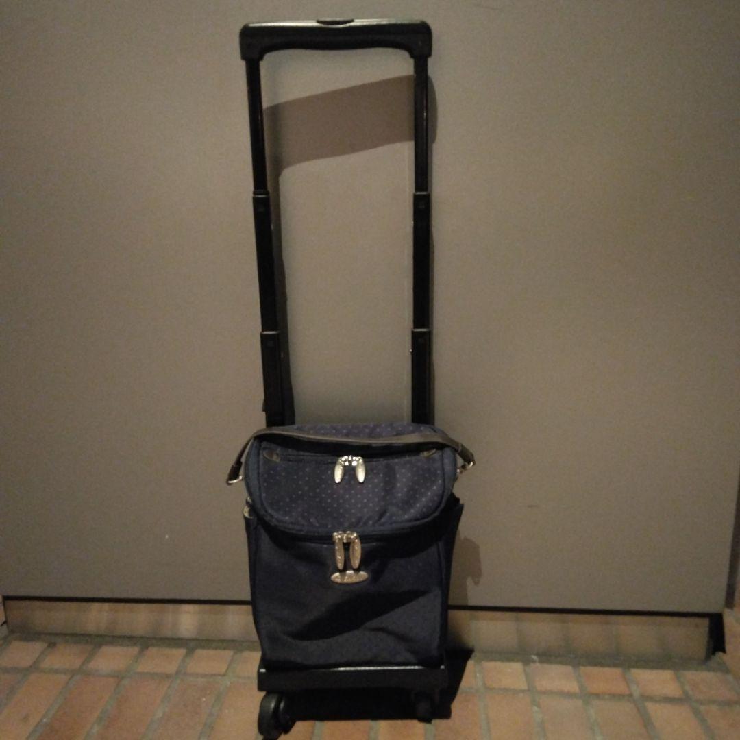 SWANY　スワニー　キャリーバッグ　ショッピングカート