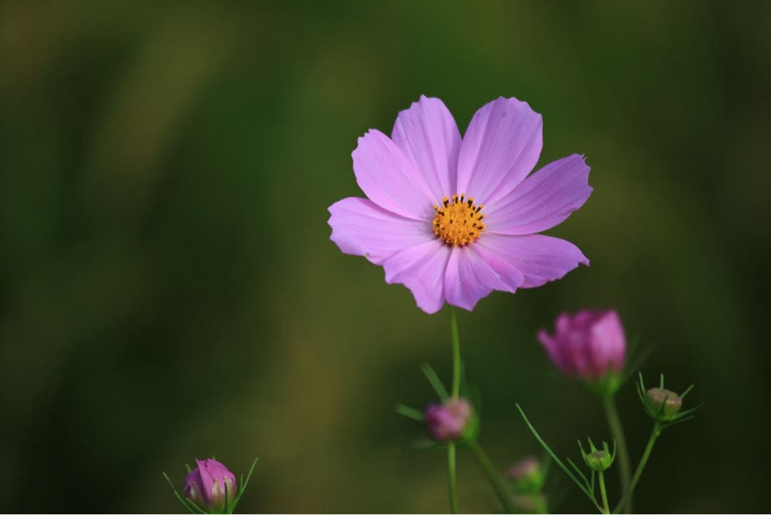 Canon EOS 5D Mark III 本体と付属品