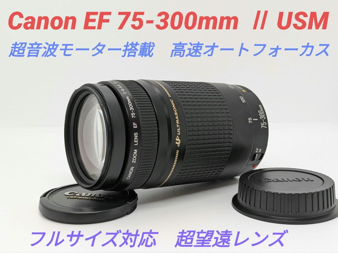 1月27日限定【超望遠レンズ】Canon EF 75-300mm Ⅱ USM