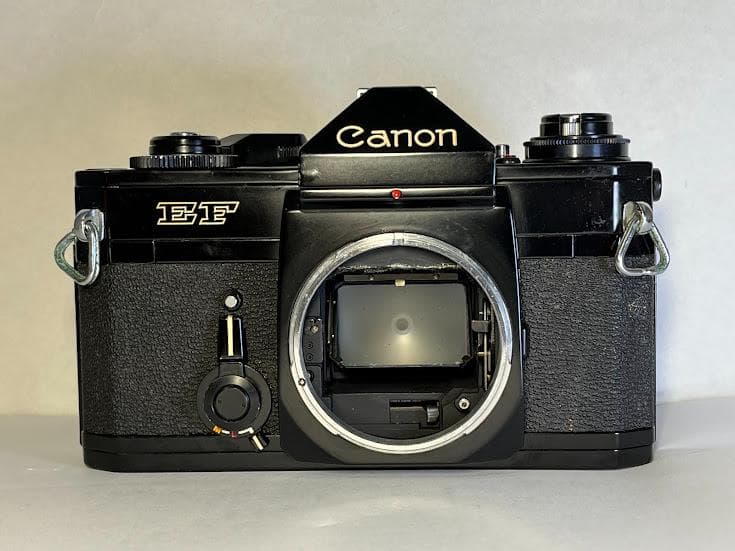 ★極上品★ キヤノン EF ボディ ブラック / NEW FD 50mm F2