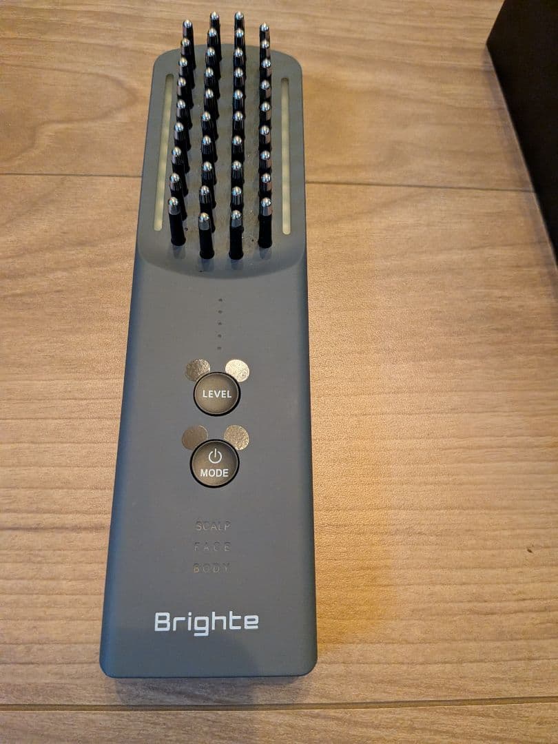 Brightee EEK BRUSH 美顔器　スカルプ　全身ケア　ミッキーマウス