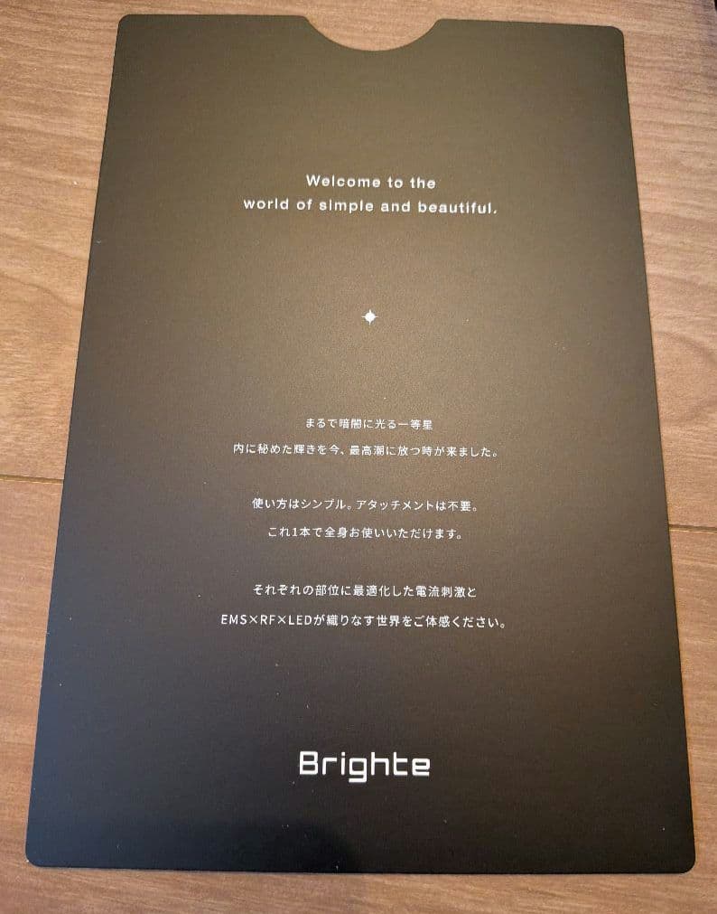 Brightee EEK BRUSH 美顔器　スカルプ　全身ケア　ミッキーマウス