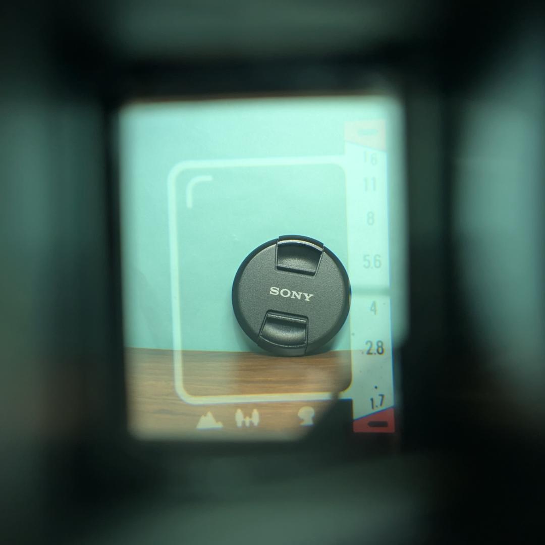 完動品◎Canon demi EE17 コンパクト フィルムカメラ #83