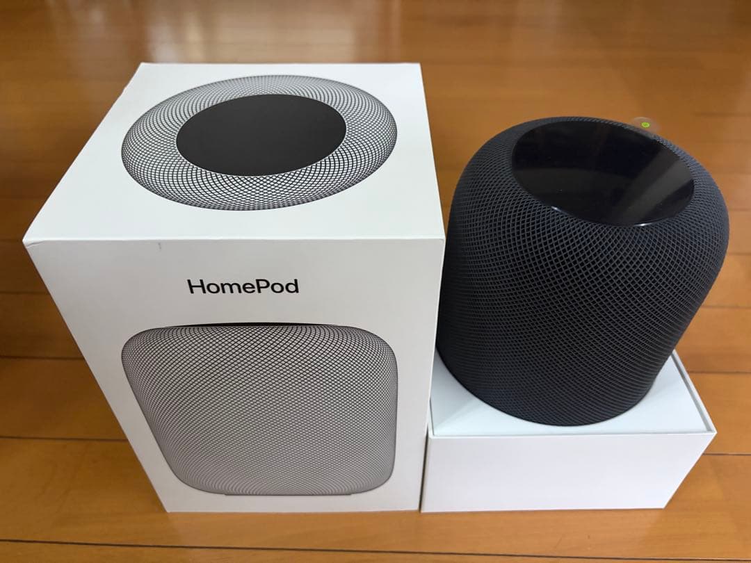 Apple Pod 第1世代 スペースグレー 2台セット