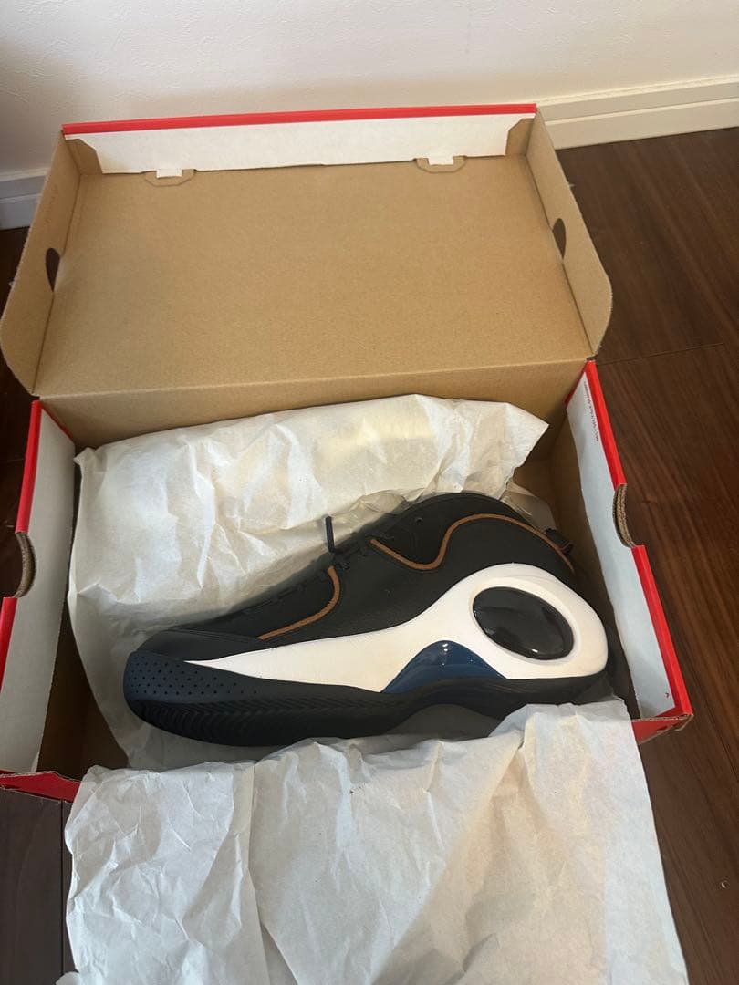 エアズームフライト95 新品未使用