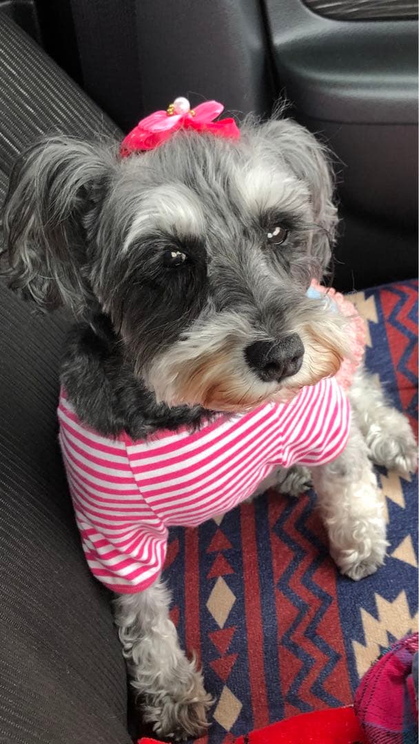 miniさま  確認用　その③